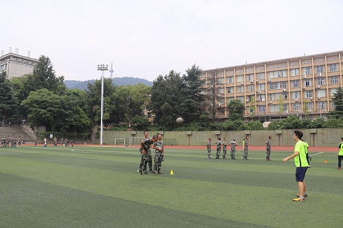 m1536850842248593.jpg IMG_3551.JPG