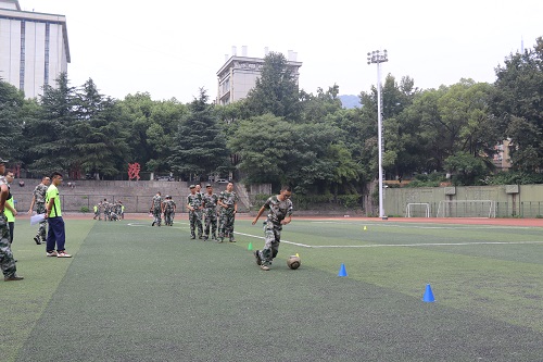 m1536850856404619.jpg IMG_3541.JPG