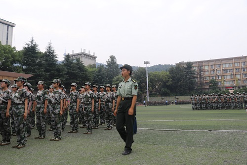 m1536853071401729.jpg IMG_3678.JPG